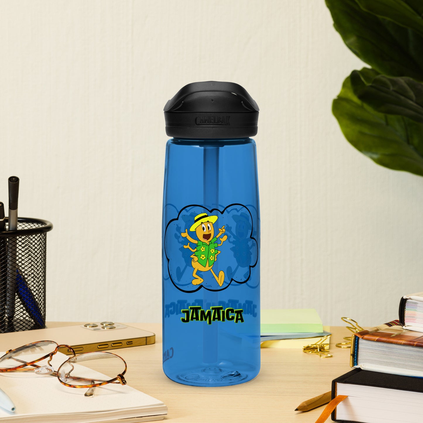 Sports water bottle